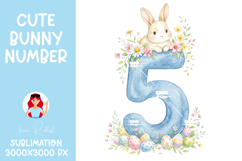 Easter Bunny Number 0-9 PNGs,Baby Shower Sublimation Design Product Image 7