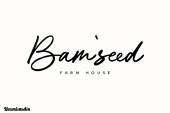 Aittemia Seikage a Handwritten Product Image 6