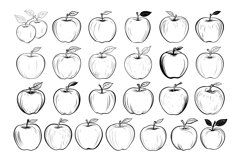 50 Apples Procreate Stamps Brushes Product Image 4