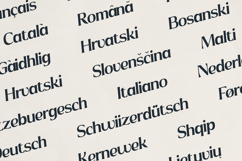 Fyntra Modern Elegant Display Font Product Image 6