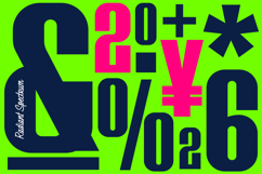 Radiant Spectrum | Font Duo Product Image 6