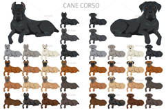Cane Corso dog clip art Product Image 6