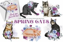 Spring Cat Clipart Watercolor Floral Sublimation Set Product Image 1