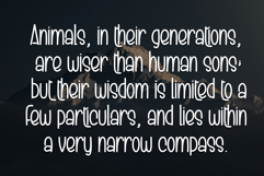 Spooky Witch Product Image 6