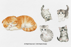 15 Bundle Watercolor Baby Cats Kitten Fluffy Pet Fat Funny Product Image 6