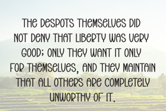 Beach Party Product Image 6