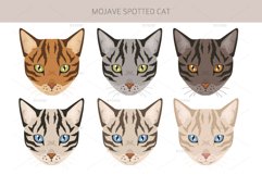 Mojave Spotted cat Product Image 5
