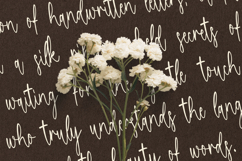 Hestqila - Luxury Script Font Product Image 6