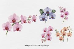 15 Bundle Watercolor Orchids Flower Tropical Exotic Blossom Product Image 6