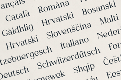 Vurnia Elegant Serif Font Product Image 6