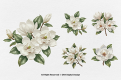 15 Bundle Watercolor Magnolia Floral White Flower Botanical Product Image 6