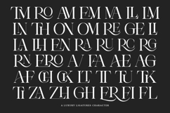 Theron Enroma | 17 Font Style Product Image 8