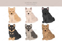 Korean Jindo clipart Product Image 3