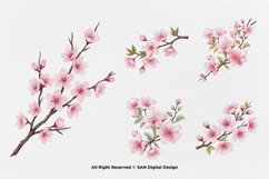 15 Bundle Watercolor Sakura Flower Cherry Blossom Japanese Product Image 6