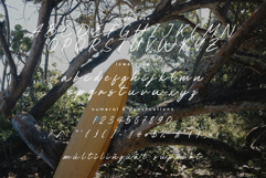 Managiri Aesthetic Brush Font Product Image 6