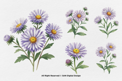 15 Bundle Watercolor Aster Flower Blossom Floral Bouquet Product Image 6