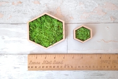 Miniature moss wall art digital download file Dollhouse doll Product Image 6