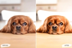 10 Velvet Mocha Mobile Lightroom Presets Product Image 6