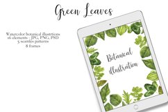 Watercolor Green Leaves Product Image 7