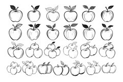 50 Apples Procreate Stamps Brushes Product Image 5