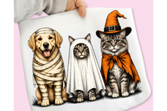 Trending Halloween PNG, Spooky Season PNG, Halloween Cat PNG Product Image 2