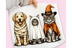 Trending Halloween PNG, Spooky Season PNG, Halloween Cat PNG Product Image 2