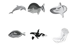 Cartoon Sea Animals Set 3 Procreate Brush Stamps, 30 Sea Product Image 6