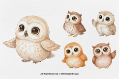 15 Bundle Watercolor Cute Owl Bird Animal Flying Smart Kids Product Image 6