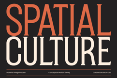 Athelya - Condensed Serif Font Product Image 6