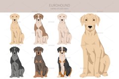 Eurohound clipart Product Image 3