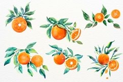 Oranges Illustration, Orange Flowers, Watercolor Tangerine Product Image 6