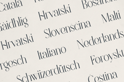 Revolto Elegant Display Serif Font Product Image 6