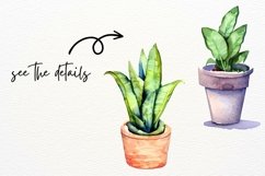 House Plants Watercolor Clipart, Indoor Plants Product Image 6