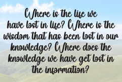 Vintage Product Image 6