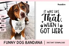 Funny Dog Bandana Quotes SVG | It Was Like That Product Image 1