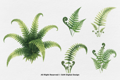 15 Bundle Watercolor Fern Leaf Botanical Aesthetic Tropical Product Image 6