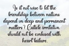 Amsterdam Product Image 6