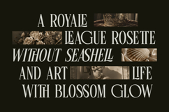 Linneva - Luxury Ligature Serif Font Product Image 6