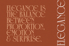 Collectivo - Stylish Condense Serif Product Image 7
