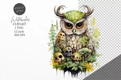 Owl clipart, Forest clipart, Birds clipart Product Image 1