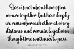 Thicker Vintage - Family Font In 61 Styles Product Image 6