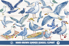 Hand-Drawn Summer Seagull Clipart Product Image 1