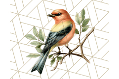 Vintage Song Bird Clipart PNG, Botanical Bird Art Clip Art Product Image 2