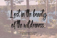 Sofewely Product Image 6