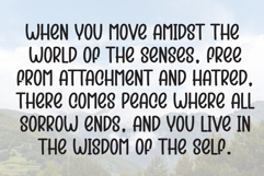 Creative Summer Product Image 6