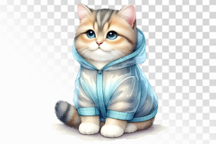 Tabby Cat Sitting in Transparent Blue Raincoat PNG Summer Product Image 1