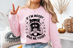 If I&#039;m Moody Give me foody SVG | Quotes | Raccoon Product Image 3