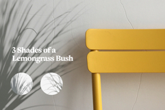 Plant Shadow Backdrops Video Bundle Product Image 6