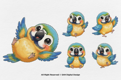 15 Bundle Watercolor Colorful Baby Parrot Cute Bird Macaw Product Image 6
