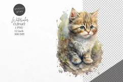 Kitten clipart, Cat clipart, Watercolor clipart Product Image 1